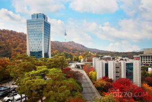 뒤늦은 단풍 절정기는 이번주! 단풍 명소에 위치한 호텔로 가볼까