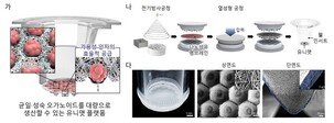 포스텍·울산과기원, 오가노이드 대량생산 기술 개발