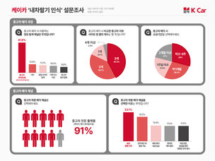 케이카, 중고차 매각 고객 '41.9%'… 중고차 기업의 정보 선호