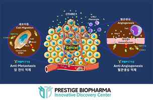 프레스티지바이오파마, 난치성 고형암 항체신약 'PBP1710' 일본 특허 취득