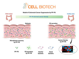 쎌바이오텍, 마이크로바이옴 기반 대장암 신약 ‘PP-P8’ 임상 본격 착수