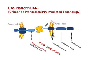 앱타이론바이오, TET2 유전자 억제 통한 car-T 치료제의 항암 효과 극대화 방법 개발