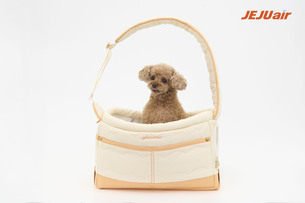 "탑승 무게 9kg으로 상향"… 제주항공, 반려동물 동반 여행 서비스 강화