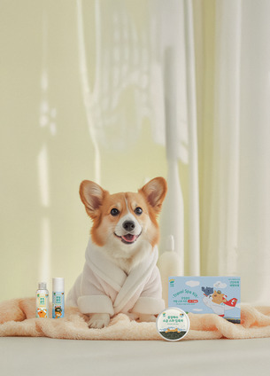 티웨이항공 "반려동물과 함께 여행 떠나고 트래블키트 받으세요"