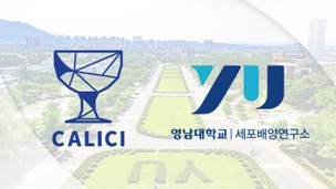 칼리시-영남대, AI로 할로겐 독성 재평가 “조건 따라 낮아질 수도”