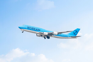 "수하물 검색 간소화"… 대한항공·델타항공, 인천-애틀랜타 노선에 &#39;IRBS&#39; 도입