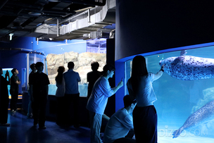 코엑스 아쿠아리움 변신… 새 테마존과 투명보트로 차별화