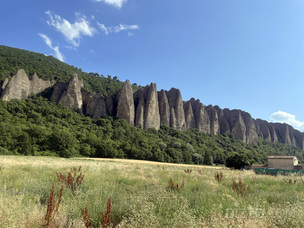 라벤더가 선사하는 보라빛 감동을 느끼고 싶다면... 한여름 '알프 드 오트 프로방스'가 답!