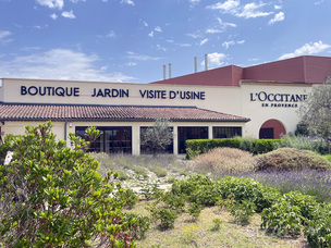 라벤더가 선사하는 보라빛 감동을 느끼고 싶다면... 한여름 ‘알프 드 오트 프로방스’가 답! 