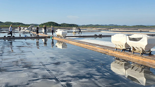 [르포] 태평염전, 70년간 땀과 노력으로 지켜온 천일염