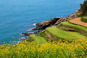 &#39;늦캉스&#39; 열풍에 남해 검색량 675% 급증… 상하이·미야코지마도 인기