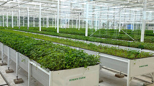 [르포] 리만코리아, 제주 스마트팜서 ‘자이언트 병풀’ 기술력 공개