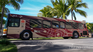 하와이 오아후 섬이 거대한 갤러리로...백만 달러 규모 공공예술 &#39;와히 파나&#39; 완성
