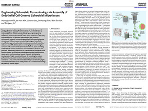 티앤알바이오팹, 혈관화 인공 조직 구현…인공 장기 연구 한계 돌파 가능성 제시