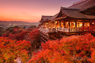 참좋은여행, 추석 연휴 여행객 37% 증가… 판매금액은 93% 급증