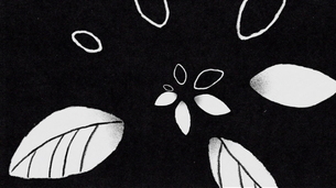 그래픽 디자이너 홍혜진, 국제적 수상에 이어 리더십 역량 발휘