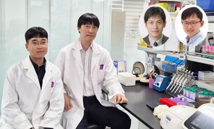 KAIST 연구진 “암세포 핵 비대 현상이 전이 억제”