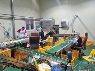 청양칠갑마늘 영농조합법인 &ldquo;스마트 공장 혁신으로 품질 경쟁력 강화&rdquo;