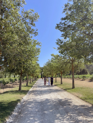 포도밭 위에 펼쳐진 예술을 만날 수 있는 곳 '샤토 라 코스트'