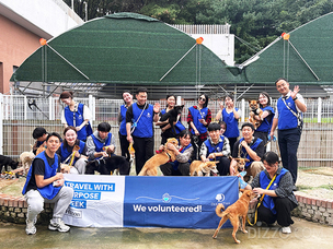 더블트리 힐튼 판교, 일주일간 5가지 봉사 활동… &#39;목적있는 여행 주간&#39; 진행 