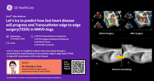 GE헬스케어, 초음파 영상 혁신 논의의 장 ‘Vivid Talks’ 웨비나 진행