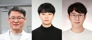 UNIST, 온실가스 저온 고속 분해 기술 개발