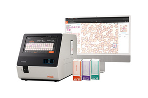 AI가 희귀 세포 학습…노을, 병리 데이터 한계 넘는 기술 국제 특허 출원