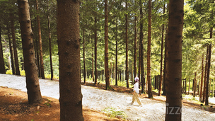 모나용평, 4년 연속 '우수 웰니스 관광지' 선정&hellip; 발왕산 치유 프로그램 공개