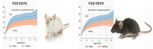 젠바디, 거창 실험동물센터서 무병원체 청정 마우스 시범 공급