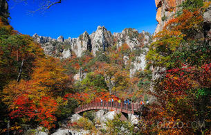 외국인 관광객, 한국 단풍 명소 검색 급증…설악산 119%↑