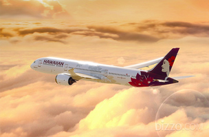 하와이안항공, 블랙 프라이데이 특가&hellip; 인천-시애틀 왕복 70만원대