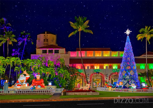 야자수 아래 크리스마스 트리, 12월 하와이가 빛의 축제로 물든다