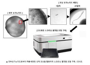 강스템바이오텍-한국파스퇴르연구소, 모낭 오가노이드 스크리닝 공동연구 계약