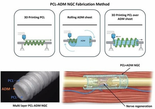 티앤알바이오팹, 3D 바이오프린팅 기반 신경재생유도관 전임상 연구 성과 국제 학술지 게재
