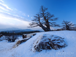 [주말 나들이] '한국관광의별' 사유원, 사색과 미식 결합한 겨울 특별 프로그램 운영