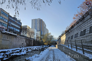 겨울철 낙상·척추·관절 손상 늘어… “가벼운 통증도 초기 대응 중요”
