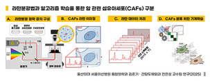 무표지 라만 분광&middot;AI로 췌장암 섬유아세포 아형 정밀 구분&hellip;종양 미세환경 분석 기술 진전