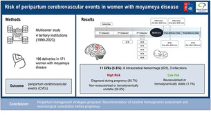 모야모야병 산모 임신&middot;출산기 뇌졸중 위험, '임신 전 뇌 혈류 안정 여부'가 핵심 변수