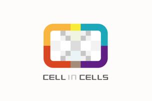 셀인셀즈, 오가노이드 기반 흉터 치료제 임상 2상 단계로