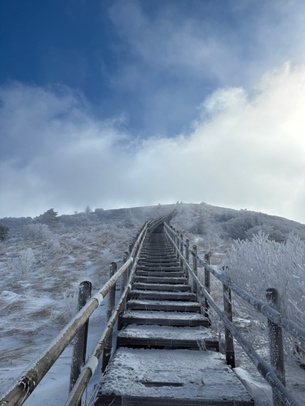상고대가 만든 겨울의 길&hellip; 소백산을 걷다