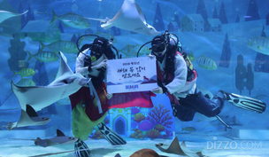 [설 연휴 가볼 만한 곳] 코엑스 아쿠아리움, 설 특별 프로그램 운영… 생태 설명회 매일 진행