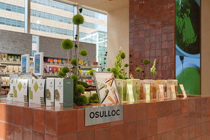 오설록, 올리브영 웰니스 플랫폼 ‘올리브베러’ 입점…티 바 운영