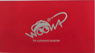 우와인, ‘축사모가 간다’ 발대식 개최… 북중미 월드컵 응원 활동 본격화