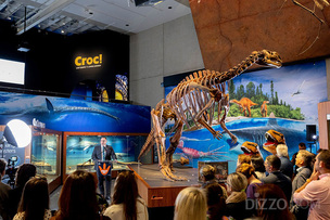 공룡 화석 직접 발굴하고 폐장 후 박물관 탐험&hellip; 호수 퀸즐랜드 다이너소어 위크, 5월 열려