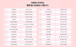 티맵, 전국 벚꽃 명소 30곳 공개&hellip; 1위는?