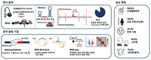 원인 못 찾던 소아 신경발달장애…비암호화 RNA 변이서 단서 나왔다