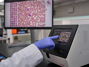 노을, 美 재생의학 기관과 MOU…혈액 분석 AI 적용 가능성 검증 착수