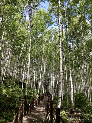 빠름 대신 느림, 자극 대신 고요…'조용한 여행' 트렌드에 맞는 국내 여행지 6선