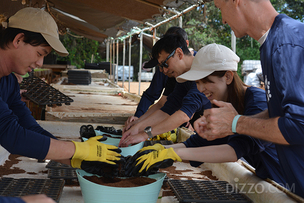 2026년 '하와이 해안 보호의 해'… 해조류 제거·플라스틱 수거 봉사 프로그램 여행객에 개방