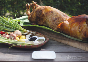 보홀 예능 방영에 미쉐린 마닐라·세부 발간까지… 필리핀, 미식 목적지로 재조명